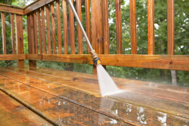 Best Pressure Washing Company Near Me  in Alum Creek, WV